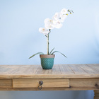 Arranjo De Orquídea De Silicone Branca No Vaso Azul | Formosi